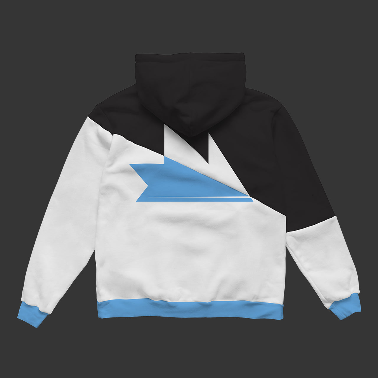 Ninja 2024 Logo Hoodie